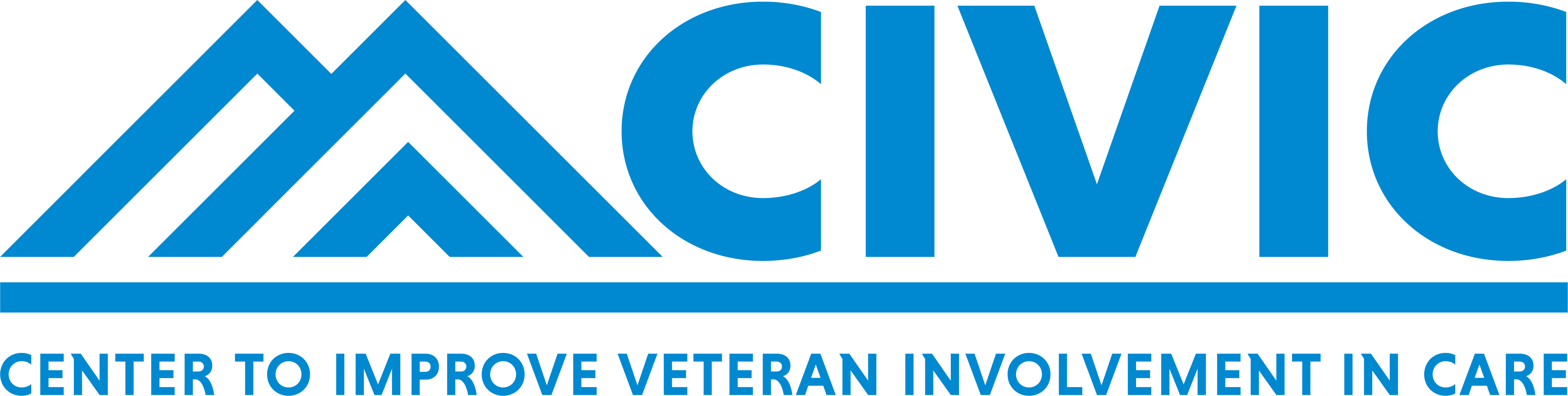 Center to Improve Veteran Involvement in Care (CIVIC)